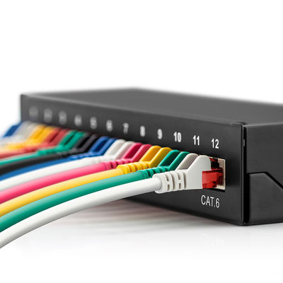 12 separatore del contenitore di distributore commerciale del distributore commerciale di cavo del quadro d'interconnessione del supporto RJ45 della parete di Pacthpanel UTP del porto Cat6