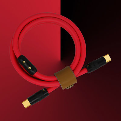 tipo palladio 100W di 6mm O.D USB 3,1 del cavo della tassa di C che addebita gli Smart Phone delle compresse dei computer portatili