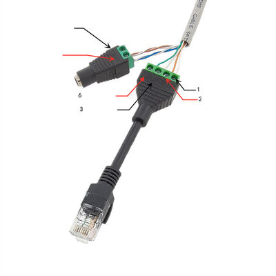 Spina di corrente femminile di CC di Jack della rete del cavo RJ45 di POE all'adattatore dei terminali di vite per la macchina fotografica del monitor